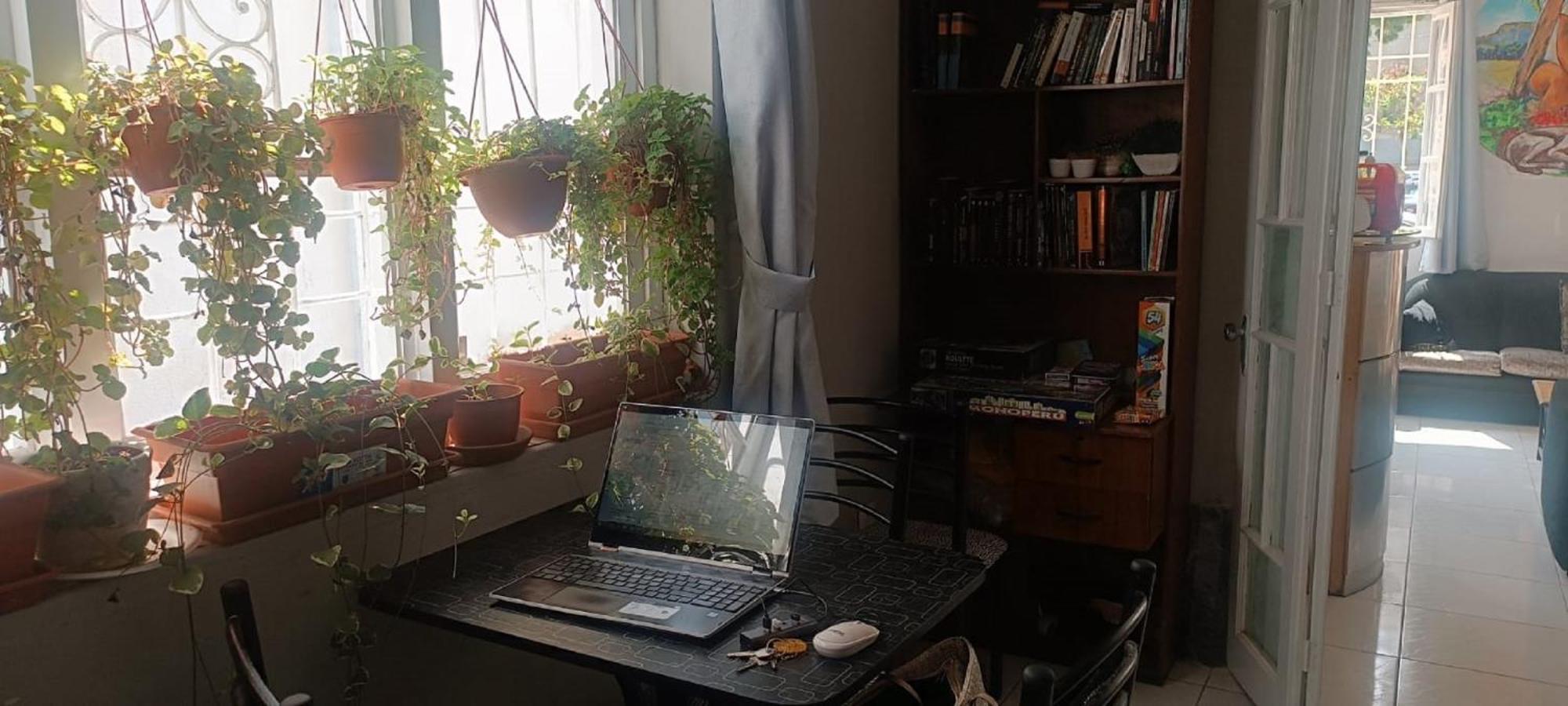 Quinoa Backpackers Hostel Lima Eksteriør bilde